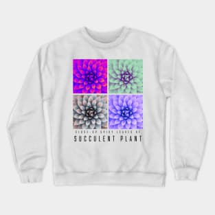 Close-up Spiky Leaves of Succulent Plant Crewneck Sweatshirt